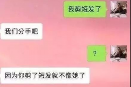 西峡融资清欠服务